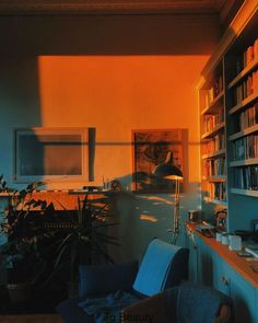 a room with bookshelves and a desk in the middle is lit by sunlight coming through the window