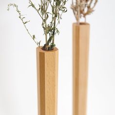 two wooden vases with plants in them