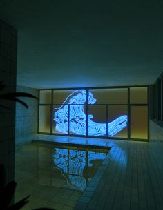 an indoor swimming pool is lit up with blue lights and the reflection of a dog on the wall