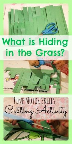 the cover of what is hiding in the grass? fine motor skills and cutting activity