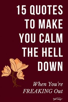 a quote that says, 15 quotes to make you calm the hell down when you're freaking out