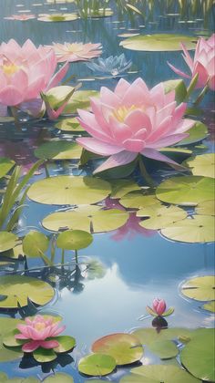 pink water lilies floating on top of lily pads