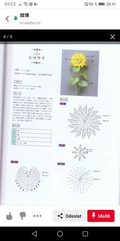 an open book with pictures on it and a yellow flower in the middle is shown