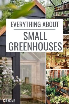 there are many small greenhouses with plants growing in them and the text overlay says everything about small greenhouses