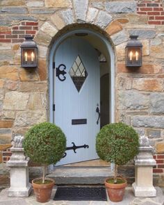 two potted plants sit in front of a blue door with an arched glass window