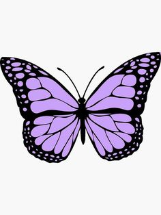 a purple butterfly with black spots on it's wings