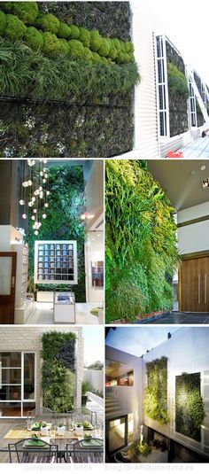 several pictures of different types of plants in the same room, including an outdoor dining area and