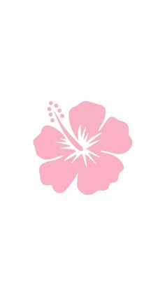 a pink flower on a white background