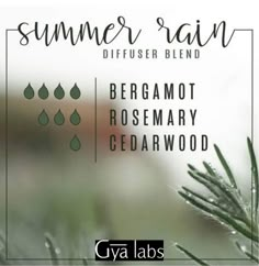 Rain Diffuser Blend, Rain Diffuser, Diffuser Essential Oils, Fragrance Blends, Essential Oil Combinations, Aromatherapy Essential Oils