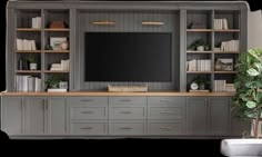 a large entertainment center with built in bookshelves and shelves on each side, along with a potted plant