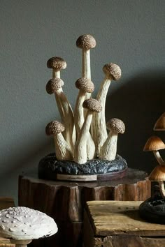 some mushrooms are growing out of the stumps