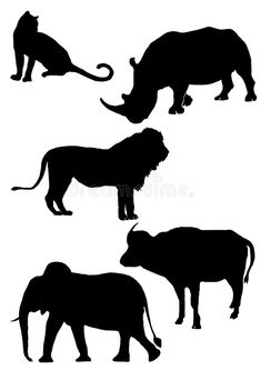 four silhouettes of elephants and lions on white background royalty photo - illustration stock image