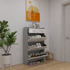 there is a shoe rack with shoes on it in the corner next to a potted plant