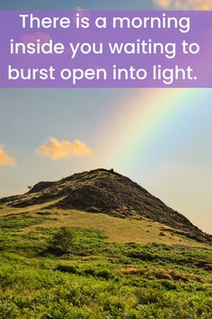 there is a rainbow in the sky above a hill with grass and bushes on it