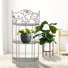 two potted plants sitting next to each other on a shelf in a white room