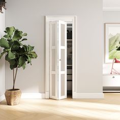 a potted plant sitting next to a tall white cabinet in a room with hardwood floors