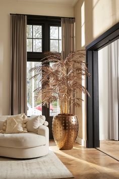 a living room filled with furniture and a large potted plant