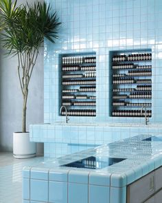 a kitchen with blue tiled walls and counter tops, two planters on the wall