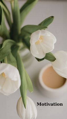 some white tulips are next to a cup of coffee and the words motivation written on it