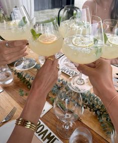 people holding up wine glasses filled with drinks