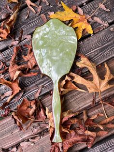 a green spoon sitting on top of leaves