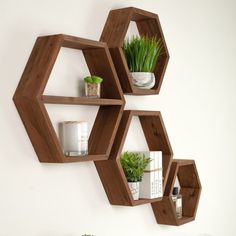 three wooden hexagonal shelves with plants on them, one is hanging from the wall