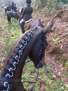 the horses are lined up on the side of the road to go for a ride