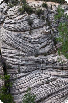 a large rock formation with trees growing out of it