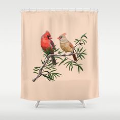 two birds sitting on top of a tree branch shower curtain by duckyboom