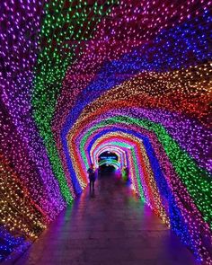 people walking through a tunnel filled with lights and trees covered in multicolored lights