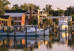 several boats are docked in the water near houses