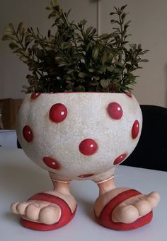 a potted plant sitting on top of a table next to a pair of feet