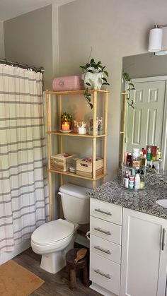 a white toilet sitting next to a bathroom sink under a mirror on top of a wooden shelf