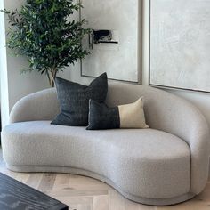 a couch with two pillows on it in front of a potted plant and framed pictures