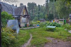 an old abandoned house in the middle of a forest with lots of trees and bushes