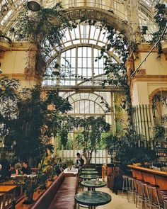 the inside of a building with many tables and plants hanging from it's ceiling