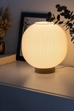 a white lamp sitting on top of a table next to a plant and framed photograph