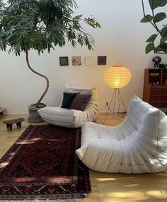 a living room filled with furniture and a tree in the corner on top of a rug