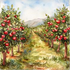 watercolor painting of an apple orchard with mountains in the background