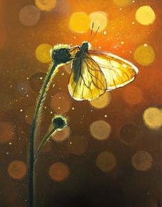 a painting of a yellow butterfly on a flower with water droplets in the back ground