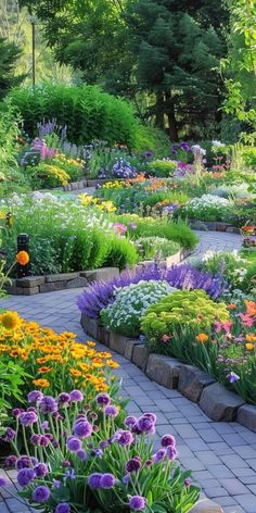 a garden filled with lots of colorful flowers