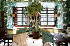 a living room filled with furniture and a potted plant