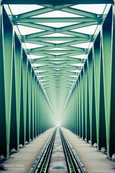 an image of a train track going through the middle of a tunnel that is green