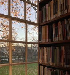 a bookshelf filled with lots of books sitting next to a window covered in fall leaves