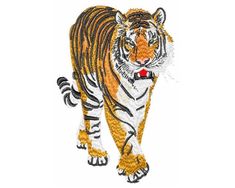 a close up of a tiger on a white background