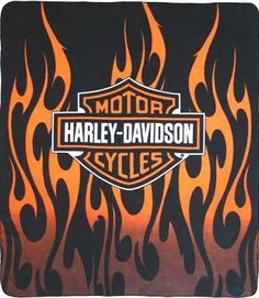 the harley davidson logo is shown in flames