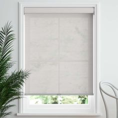 a white window with blinds on it and a potted plant in front of the window