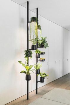 several plants are growing in black planters on the side of a white wall,