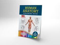 the human anatomy coloring book is on display