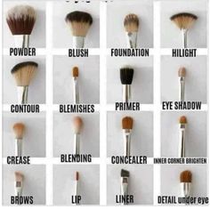 Eyeshadow Brushes Guide, Deepika Padukone Makeup, Mary Kay Eye Makeup, Makeup Brush Uses, Makeup For Older Women, Makeup Brushes Guide, Natural Make Up Looks, Best Makeup Brushes, Natural Make Up